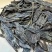 海南黑油格虫漏碎料