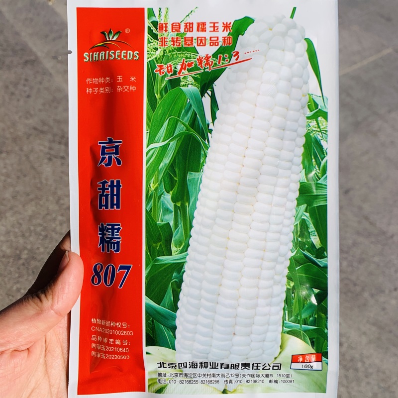 京甜糯807粘甜玉米种子大棒白色甜加糯玉米种子鲜食甜糯