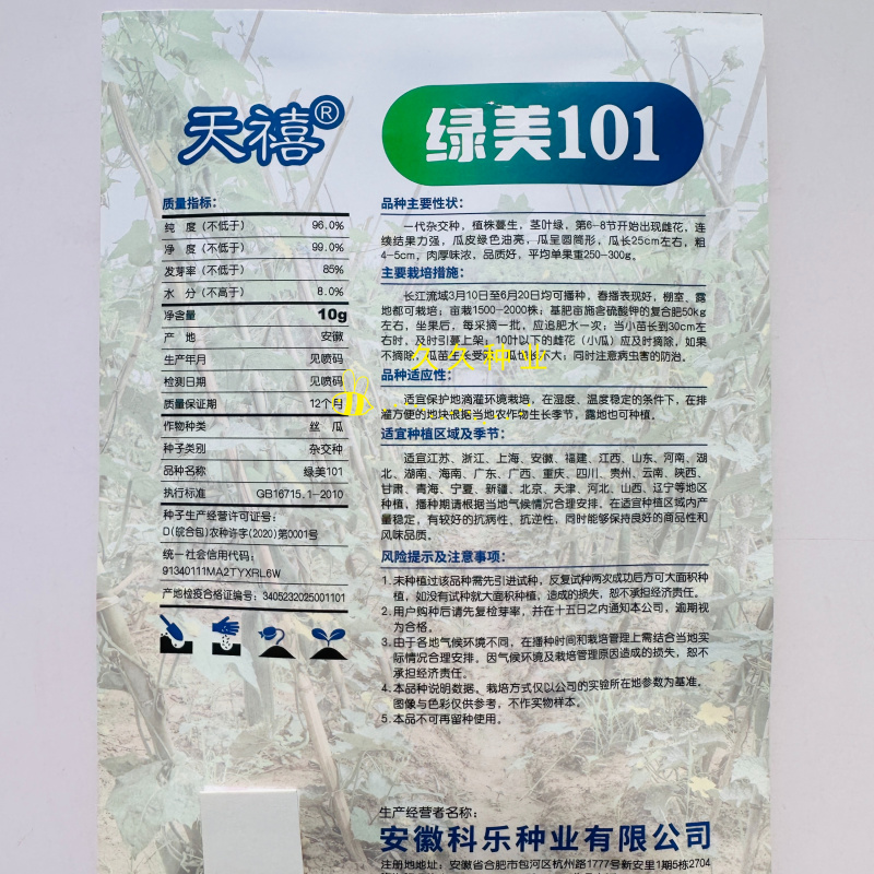 天禧绿美101油亮丝瓜种子杂交短棒圆筒形绿油亮肉厚味浓