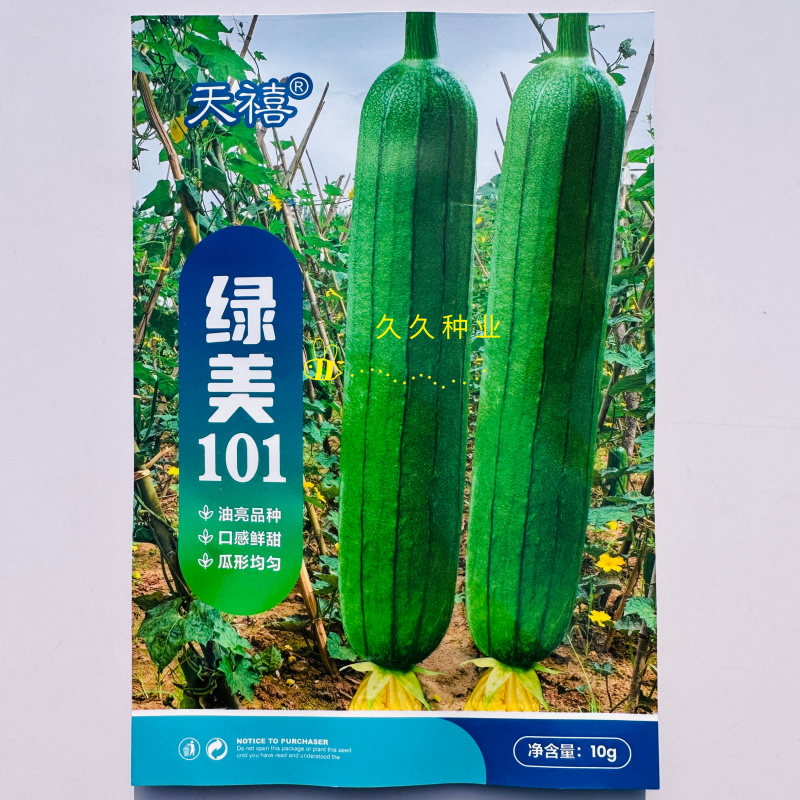 天禧绿美101油亮丝瓜种子杂交短棒圆筒形绿油亮肉厚味浓