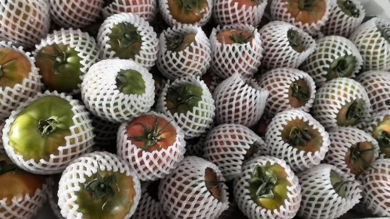 草莓番茄产区直发