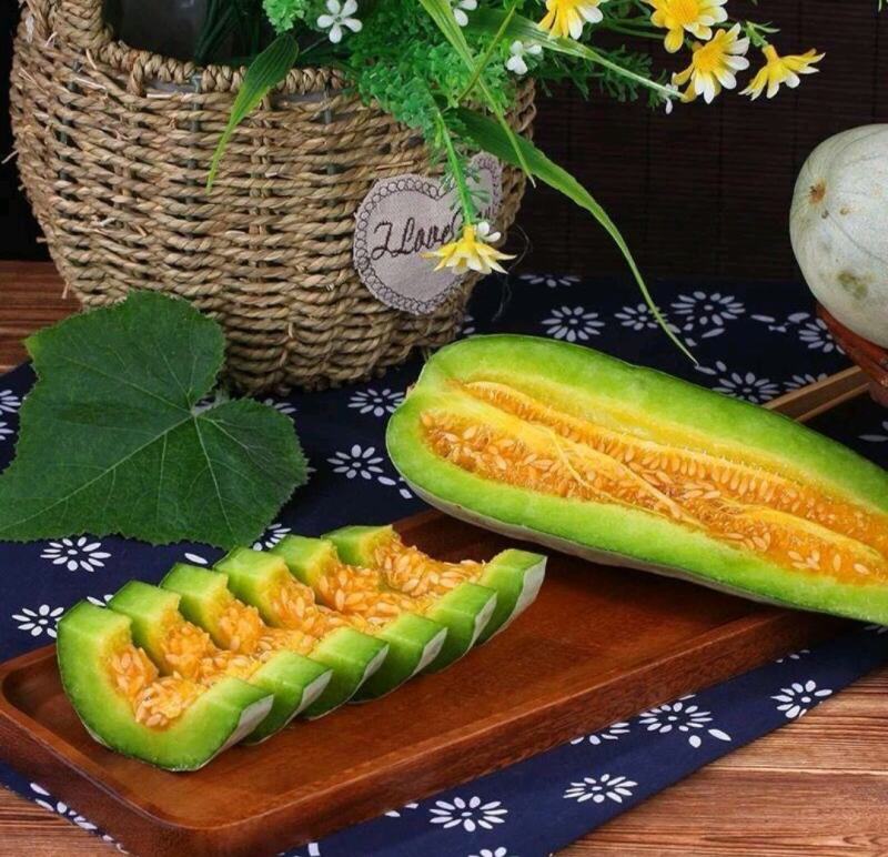 羊角蜜甜瓜苗羊角蜜瓜苗嫁接苗直播苗免费技术指导包回收