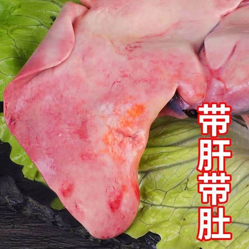 2-13斤大安康鱼