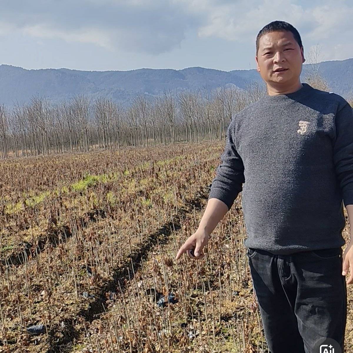 1公分七叶树挥泪大甩卖质量好，价格低，一手货源