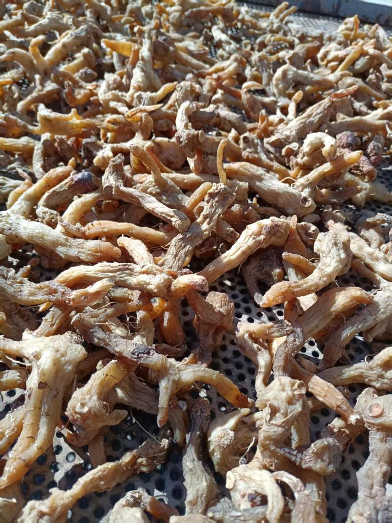 黄精鸡头黄精现货出售