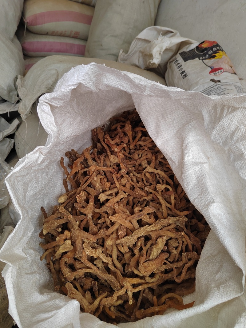 黄精鸡头黄精现货出售