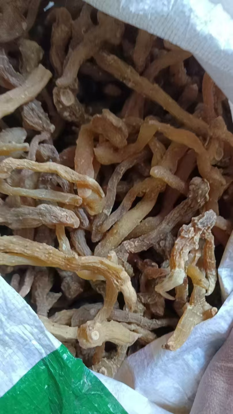 黄精鸡头黄精现货出售