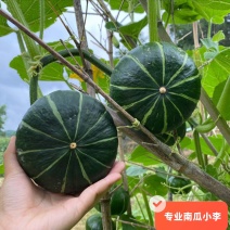 贝贝南瓜，优质货源，口感软糯香甜，原产地直发