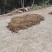 湖南宜章县莽山物理压榨一级食品野生山茶油