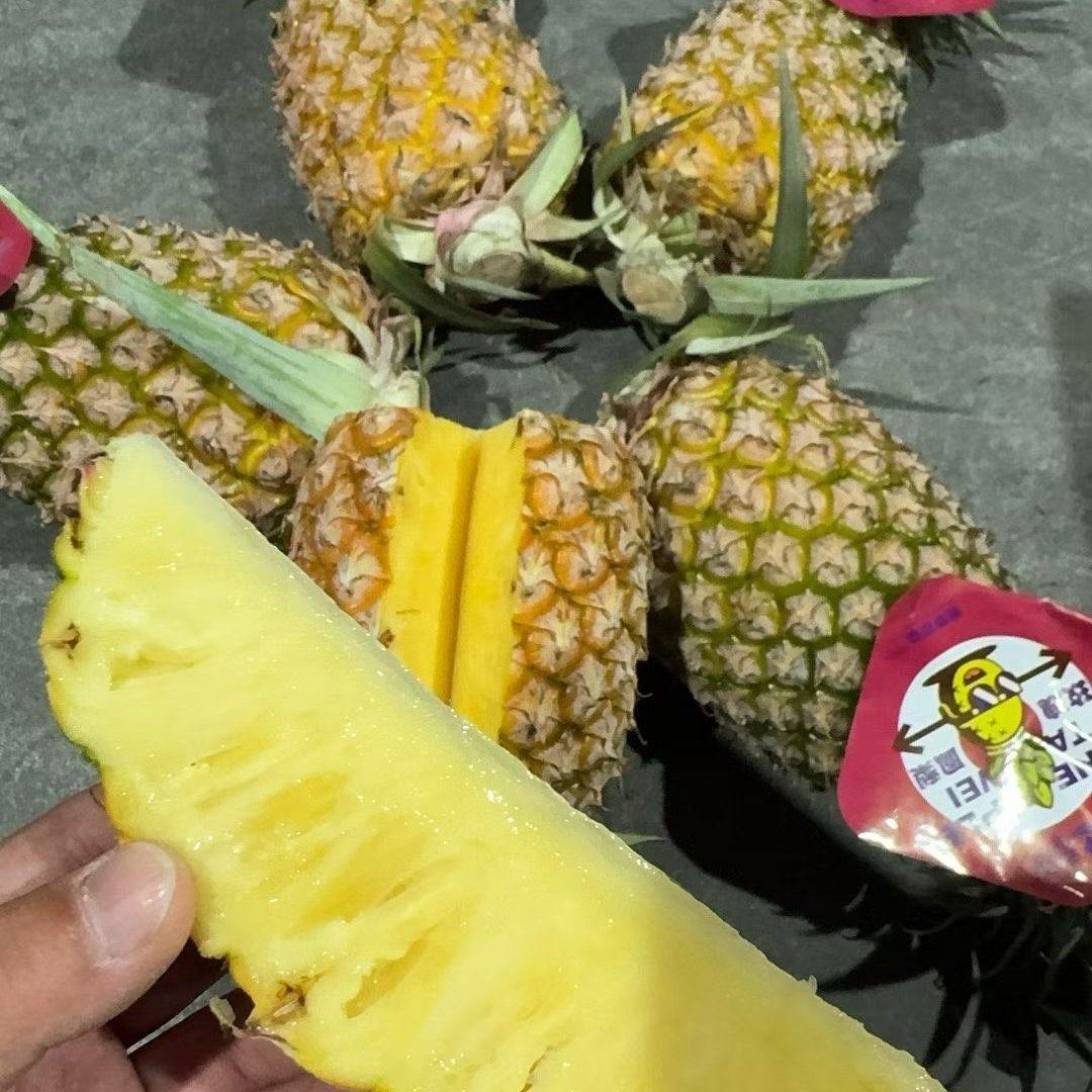 金钻凤梨，专业一件代发