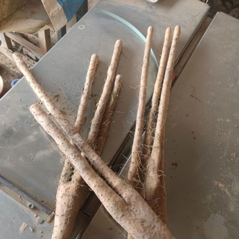 佛手山药绵甜粉糯小白嘴巴掌山药新鲜蔬菜佛手山药包邮