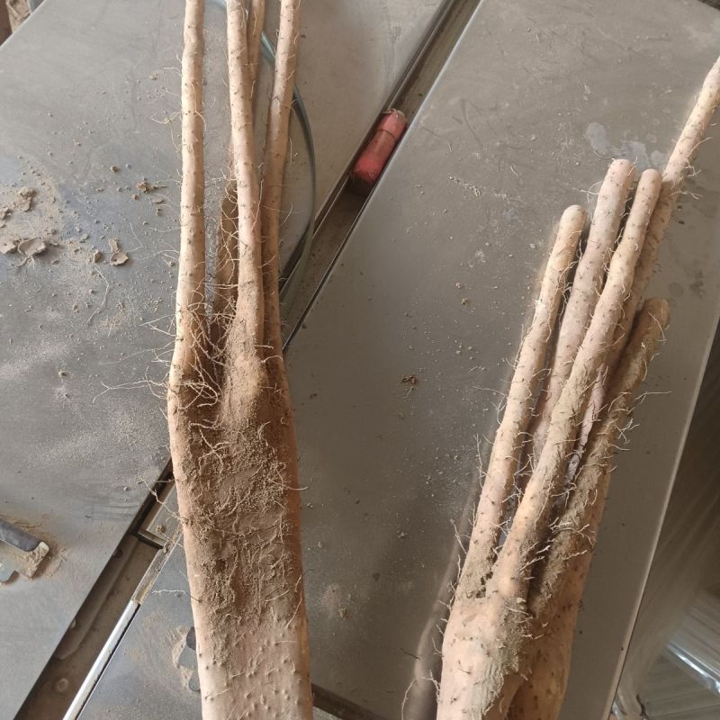 佛手山药绵甜粉糯小白嘴巴掌山药新鲜蔬菜佛手山药包邮