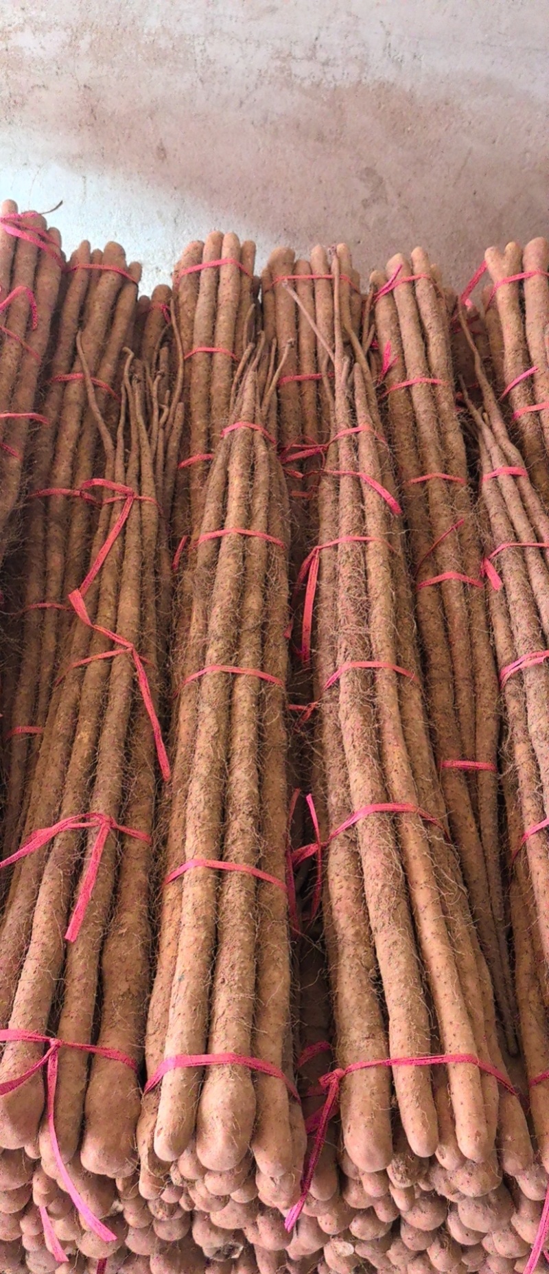 铁棍山药。
