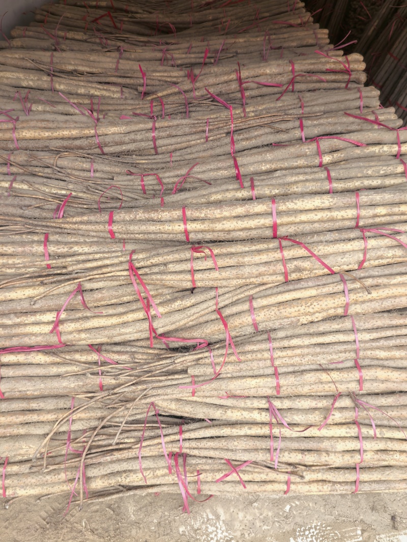 铁棍山药。