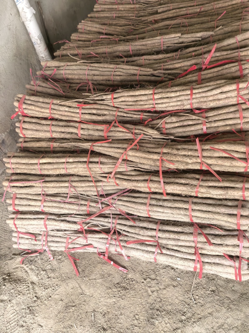 铁棍山药。