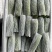 精品三月瓜个头均匀价格优美大量有货