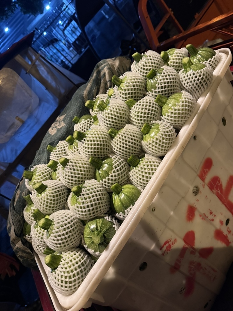 精品地南瓜个头均匀价格优美大量有货