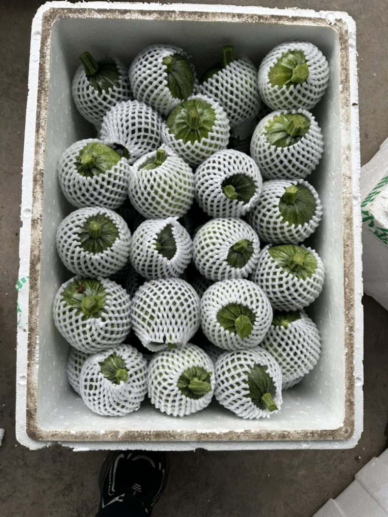 精品地南瓜个头均匀价格优美大量有货