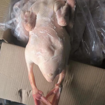 工厂直销资质齐全原材料供应