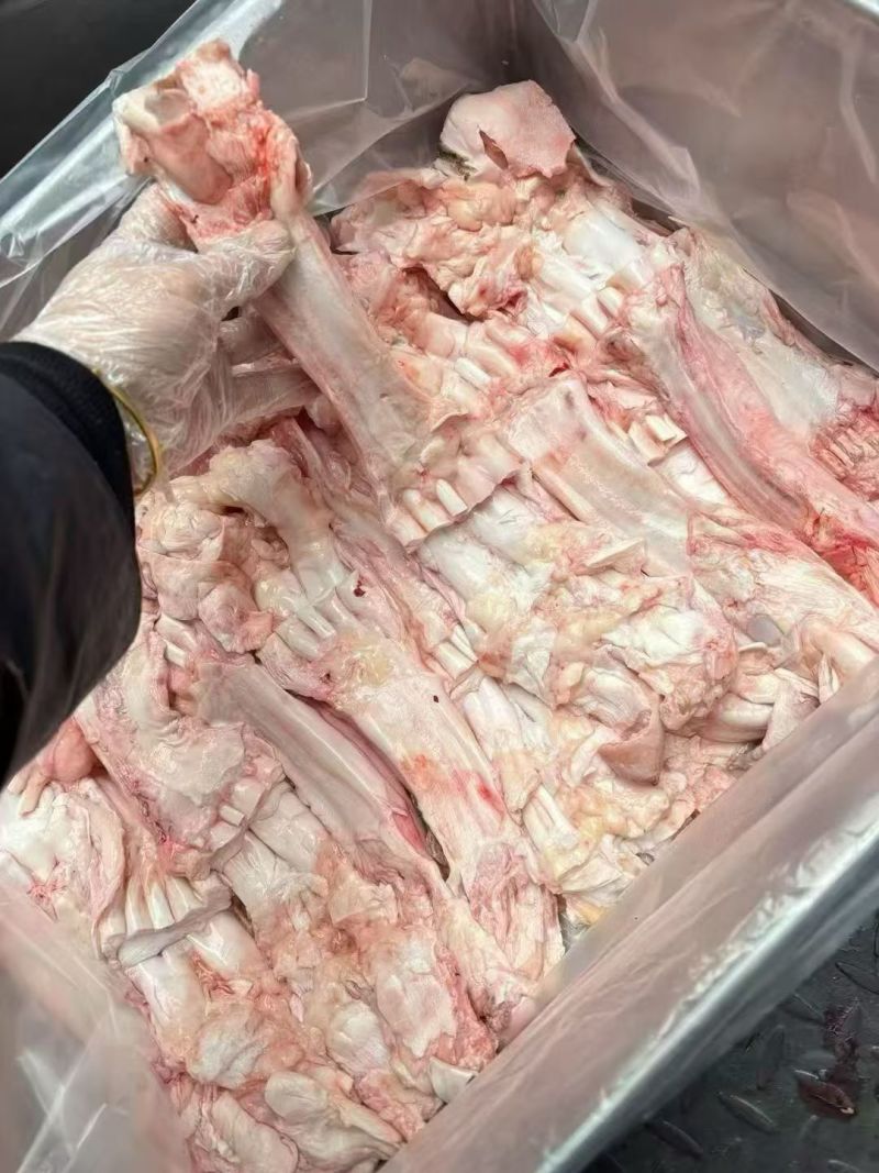 牛主筋