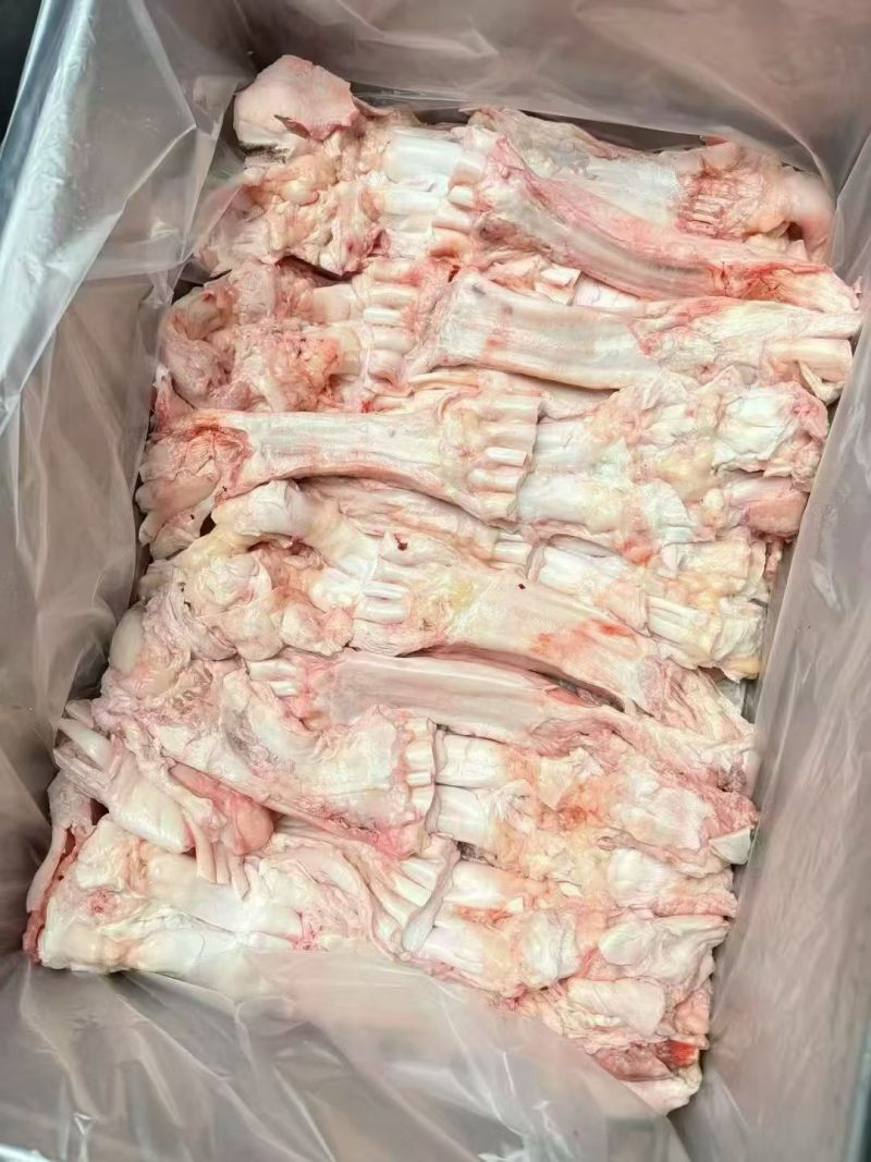 牛主筋