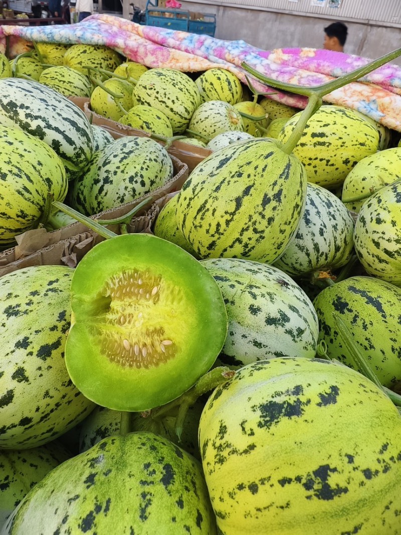 内黄花美人甜瓜温棚精品现摘产地直供代办发货