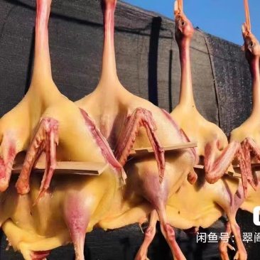 建瓯家乡美食板鸭整只