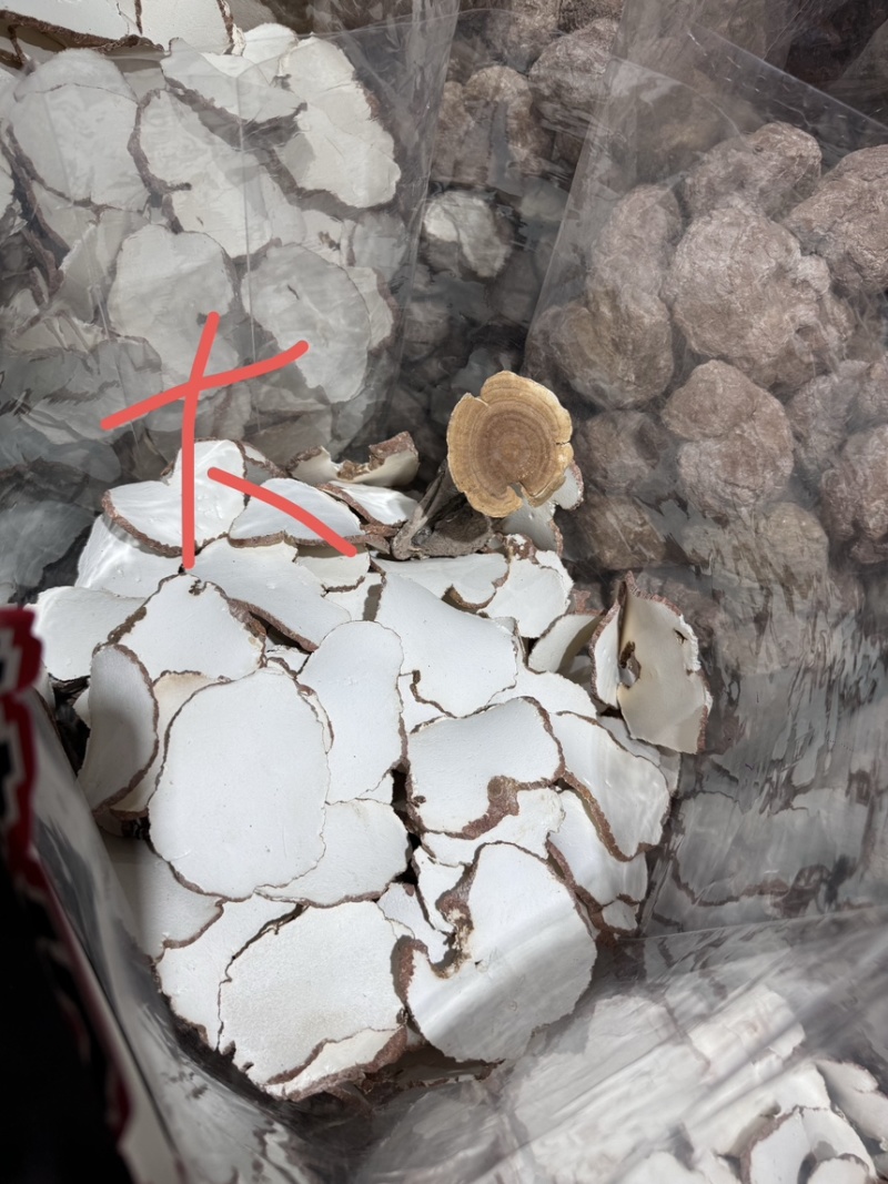 虎乳菌一手货源，产地直达，品质保证