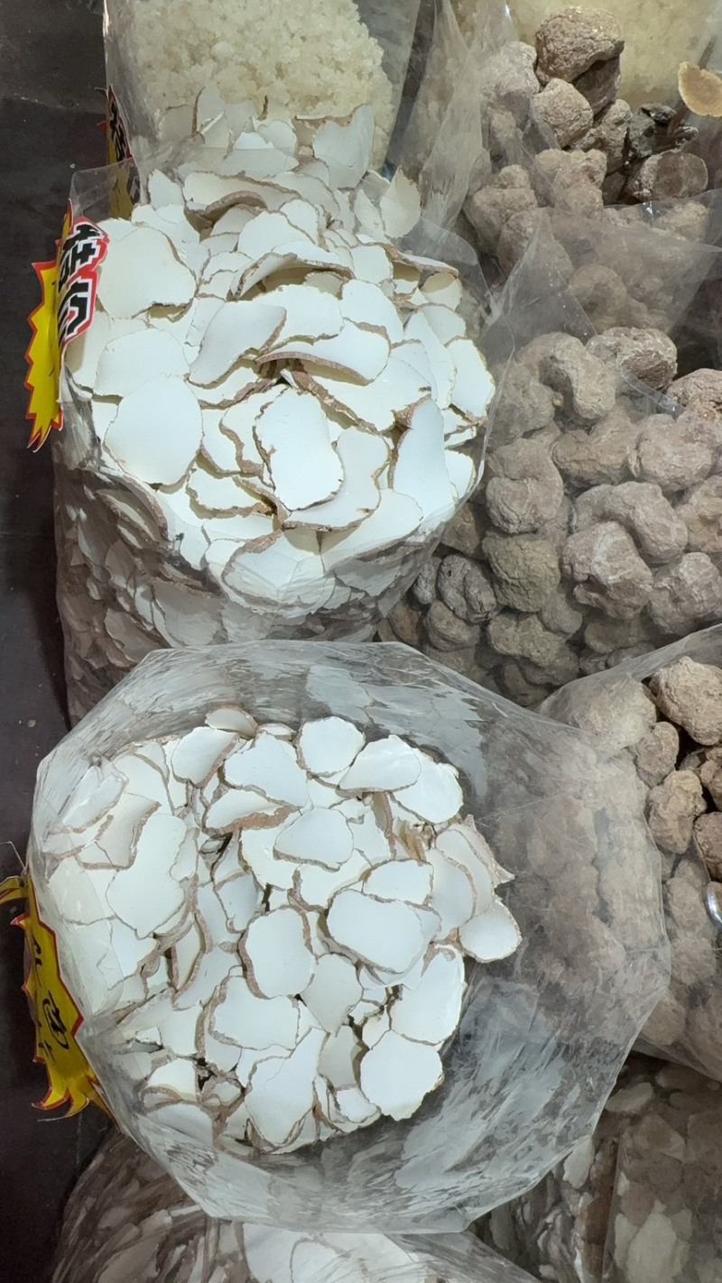 虎乳菌一手货源，产地直达，品质保证