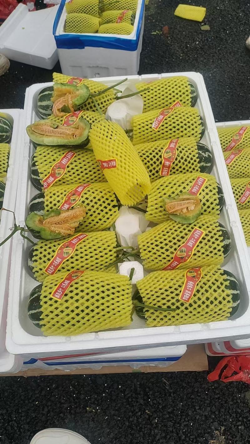 莘县博洋甜瓜瓜形好卖相好各种熟度按需分拣各种包装有场地工人
