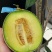 海南白玉菇蜜瓜