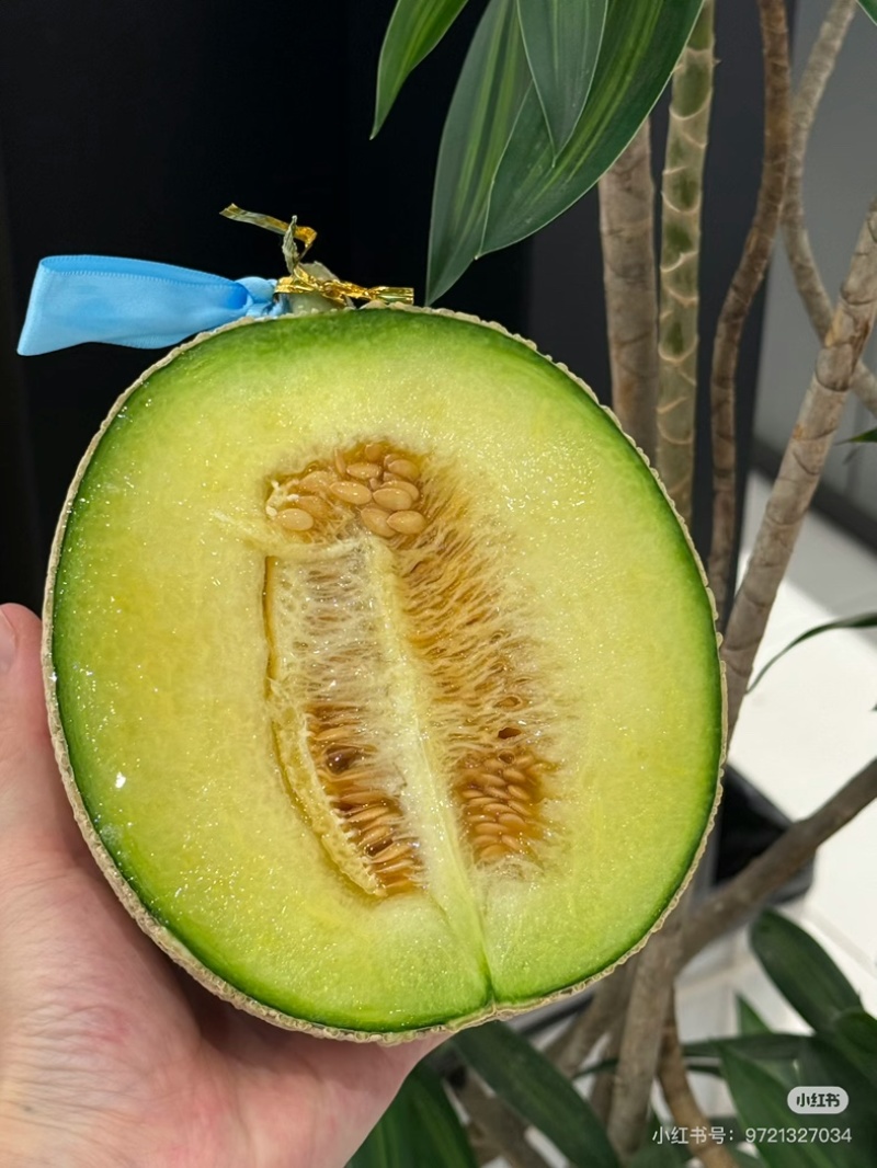 海南白玉菇蜜瓜