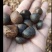 老树茶籽油，自己家的65一斤，土榨