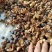 老树茶籽油，自己家的65一斤，土榨