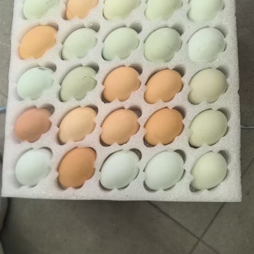 正宗土鸡蛋