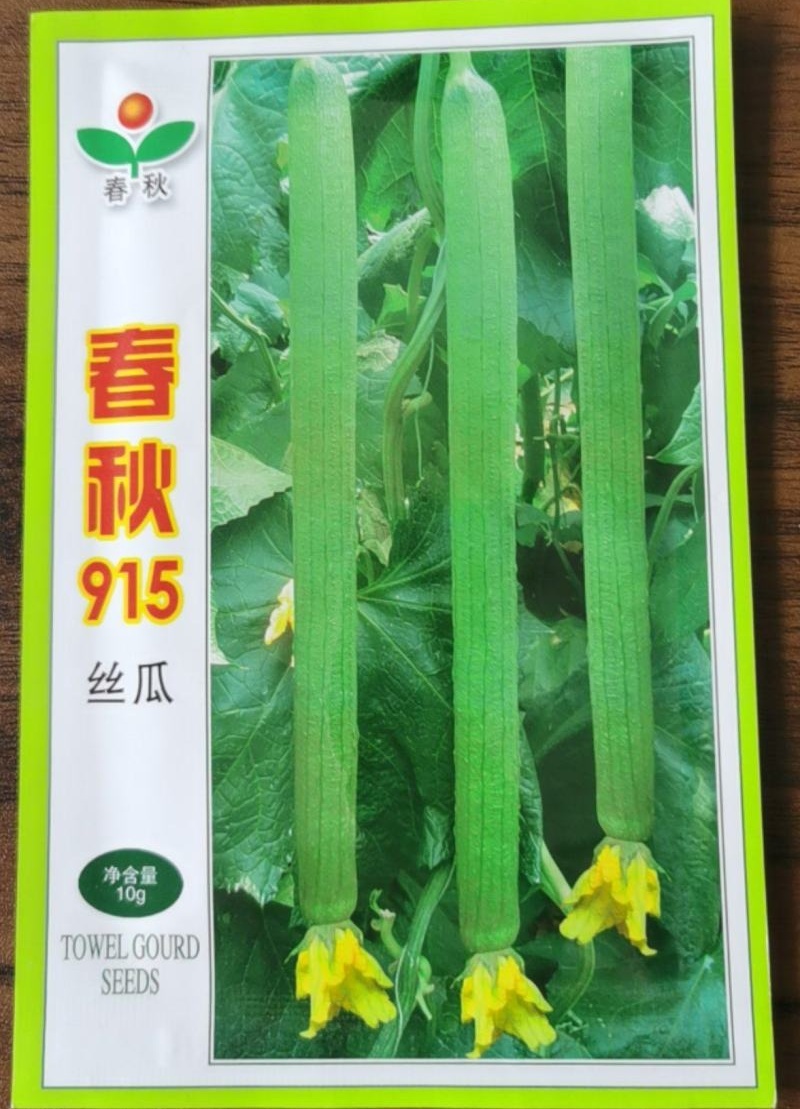 春秋915丝瓜种子新品种荷兰引进提纯品种鲜嫩可口