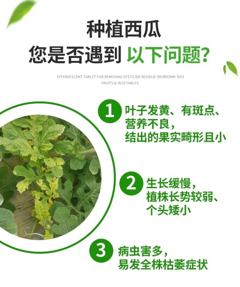 西瓜六必治甜瓜西瓜瓜类专用肥叶片浓绿生根壮苗促进生长