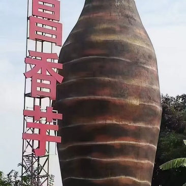 广东韶关乐昌芋头炮弹芋头基地直供量大从优实力代发