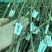 专业大量批发各类果树苗木基地