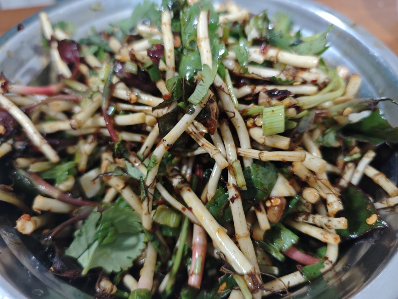 鱼腥草，折耳根