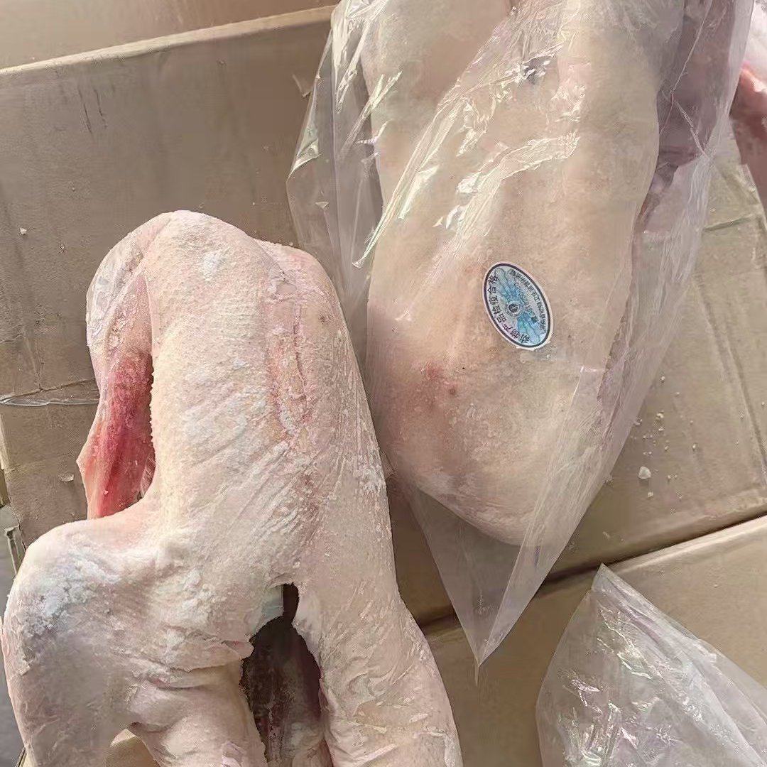 一级两光鹅10