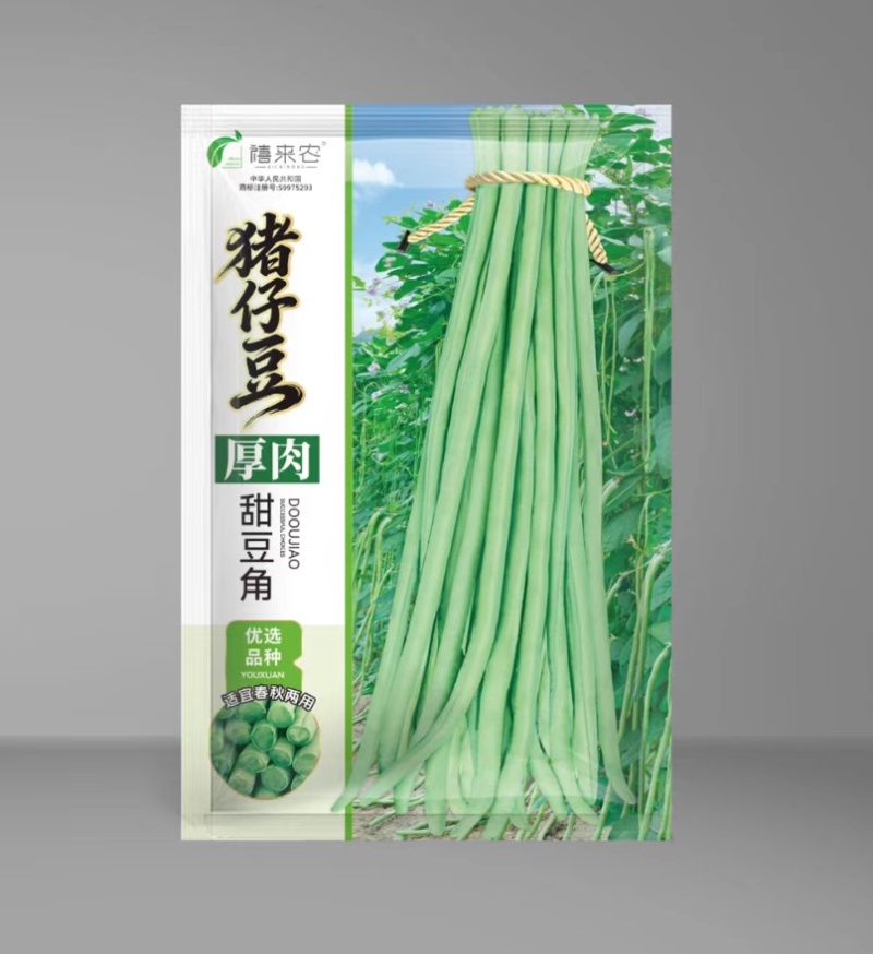 猪仔豆豇豆种子大肉甜豆角早熟荚粗肉厚耐老软糯香甜