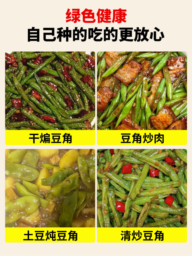 猪仔豆豇豆种子大肉甜豆角早熟荚粗肉厚耐老软糯香甜