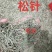 松针，中药材松针新货色青质量保证价格优惠欢迎咨询购买