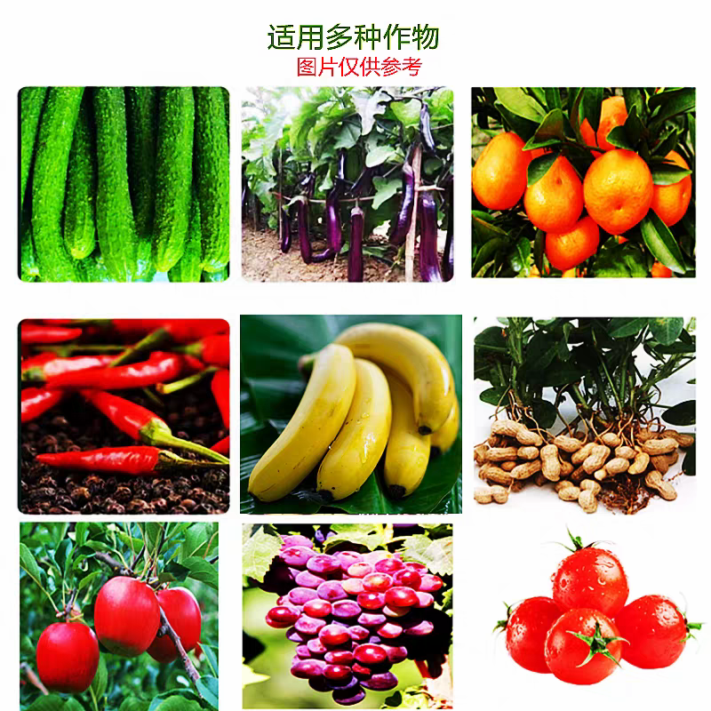 中达线迪5%噻唑膦可溶液剂黄瓜根结线专用杀线虫剂
