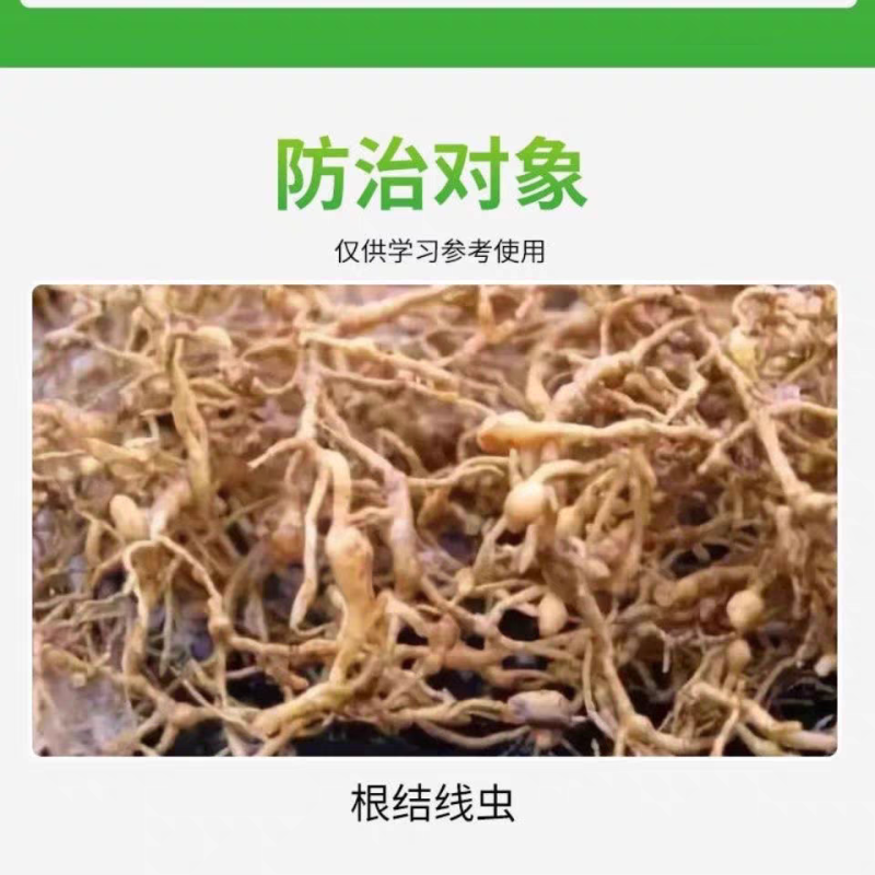 中达线迪5%噻唑膦可溶液剂黄瓜根结线专用杀线虫剂