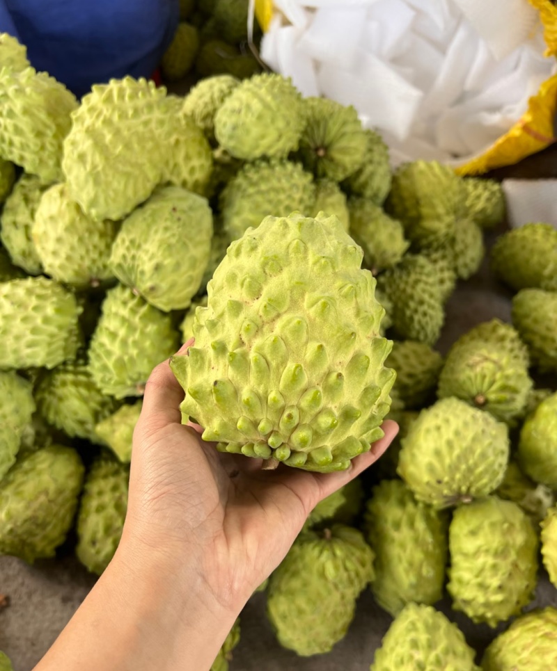 释迦果源头