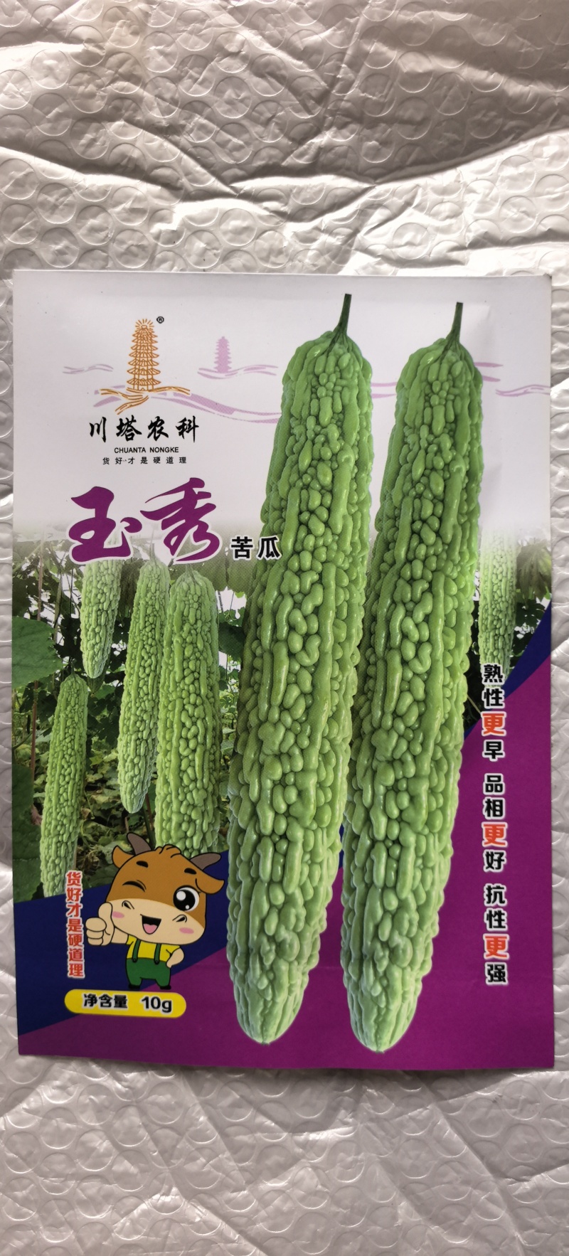 苦瓜种子玉秀早熟好品质绿白苦瓜杂交品种抗性强产量高