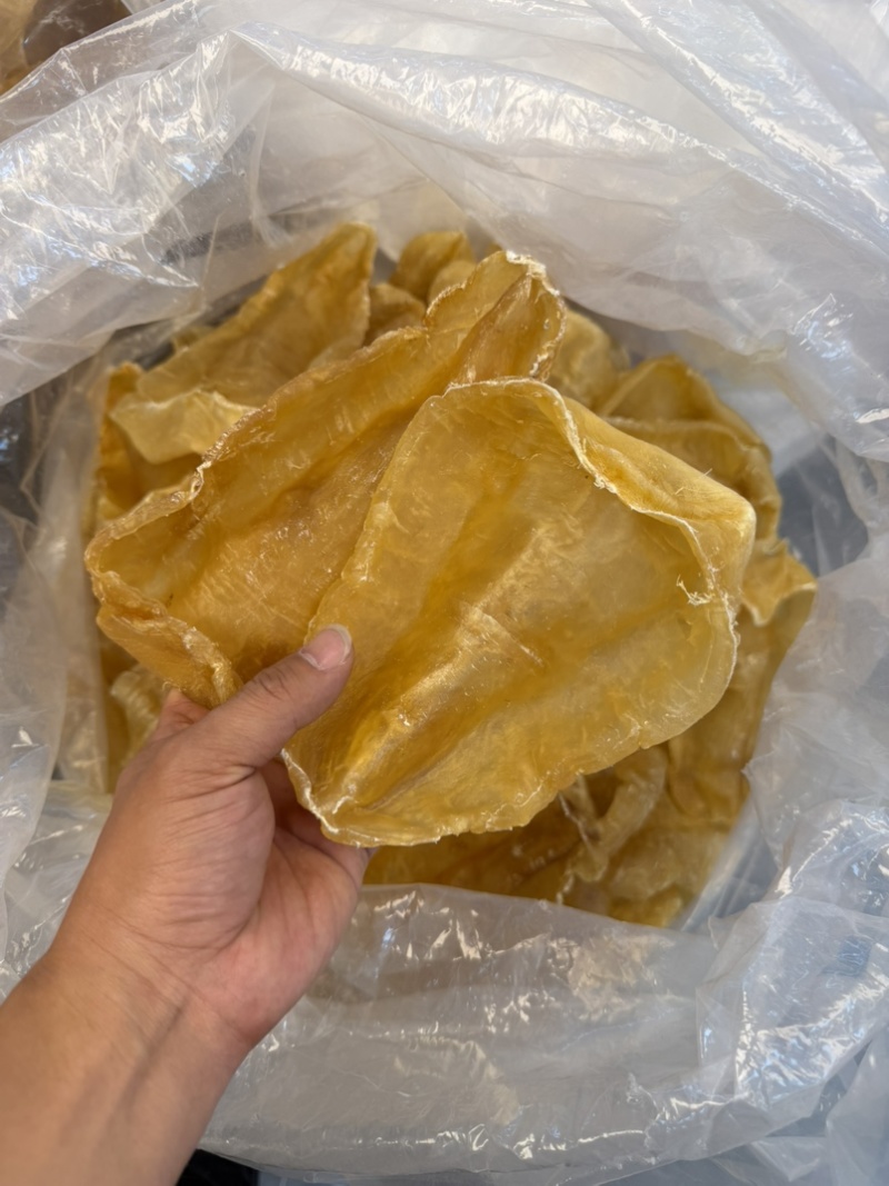 斗湖胶斗湖公鳘鱼胶养胃鱼胶足干斗湖鱼胶