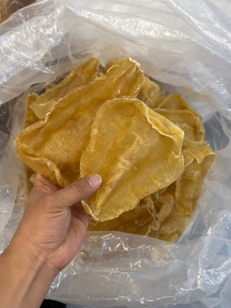 斗湖胶斗湖公鳘鱼胶养胃鱼胶足干斗湖鱼胶
